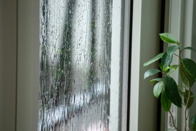 空き家になっている不動産の梅雨対策はできていますか？